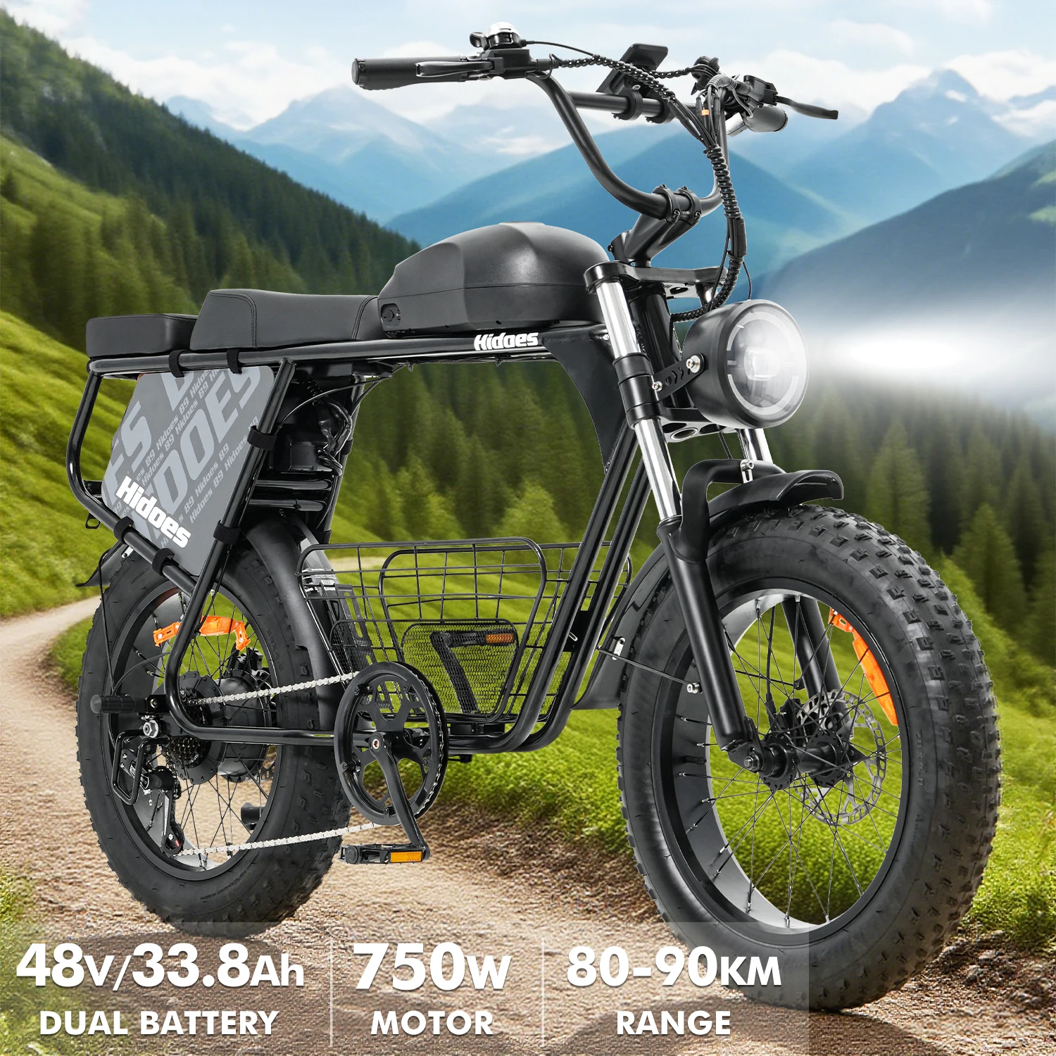 Hidoes B9 Electric Bike 750W Motor 48V33.8AH Battery 80-90km Range 7-Speed 20" Fat Tire Transmission Adult Electric Bicycle
