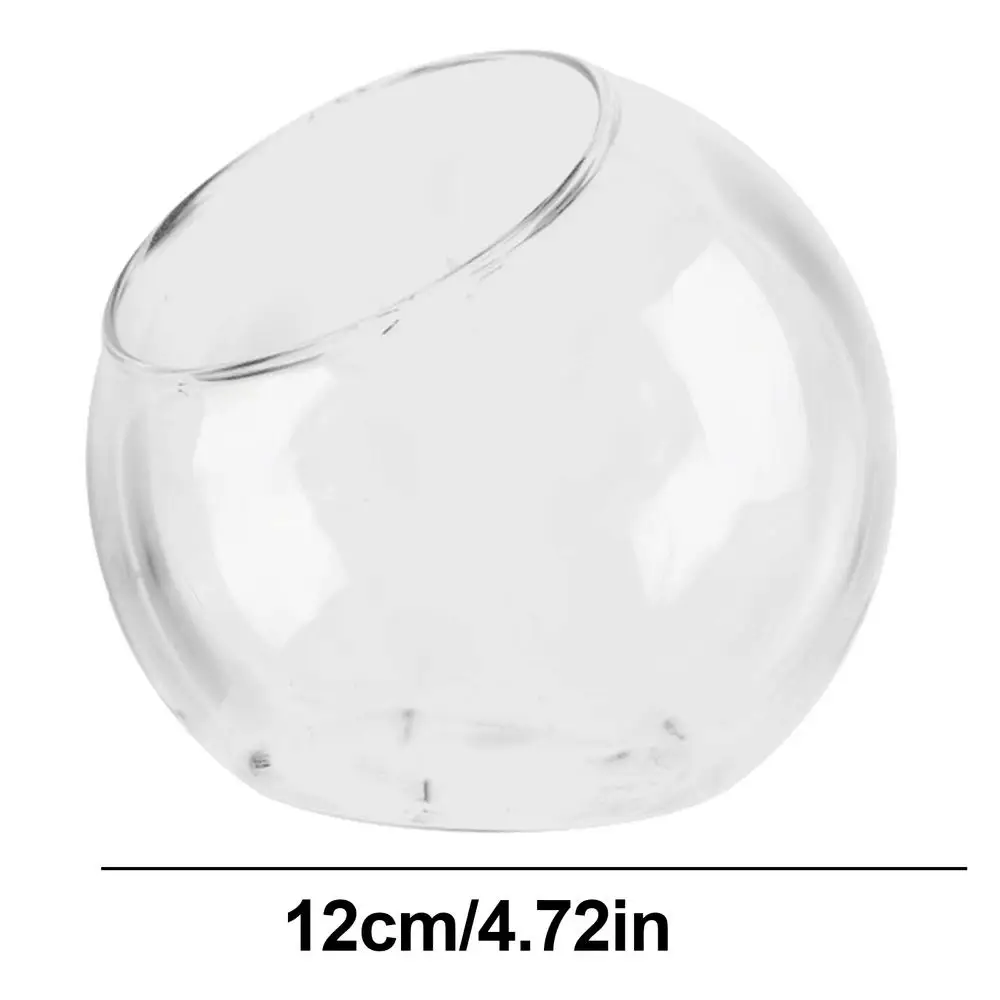 Planter Terrariums Glass Round Terrarium Fish Bowl Plant Flowerpot Vase Air Plant Container Glass Home Decoration Display
