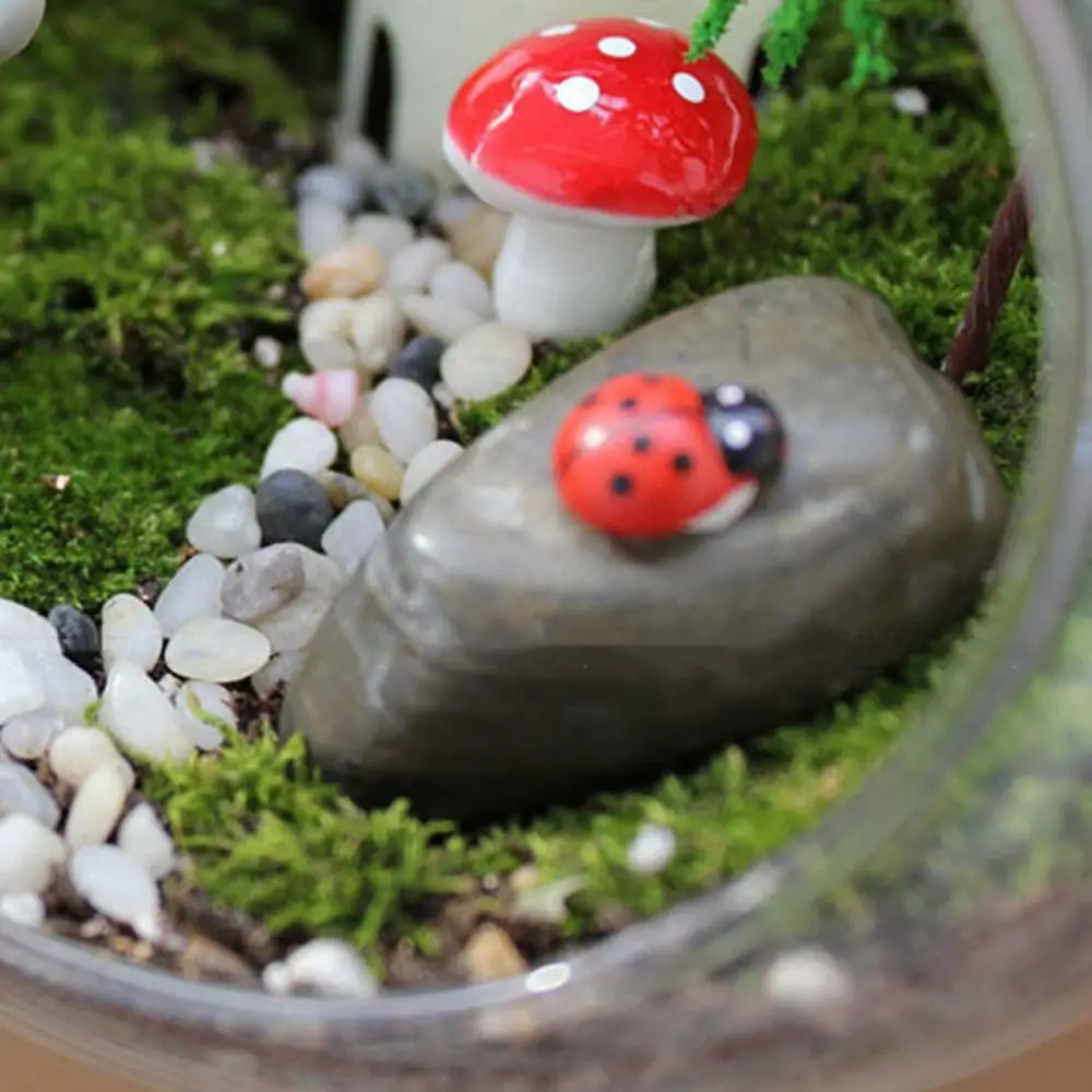 Planter Terrariums Glass Round Terrarium Fish Bowl Plant Flowerpot Vase Air Plant Container Glass Home Decoration Display