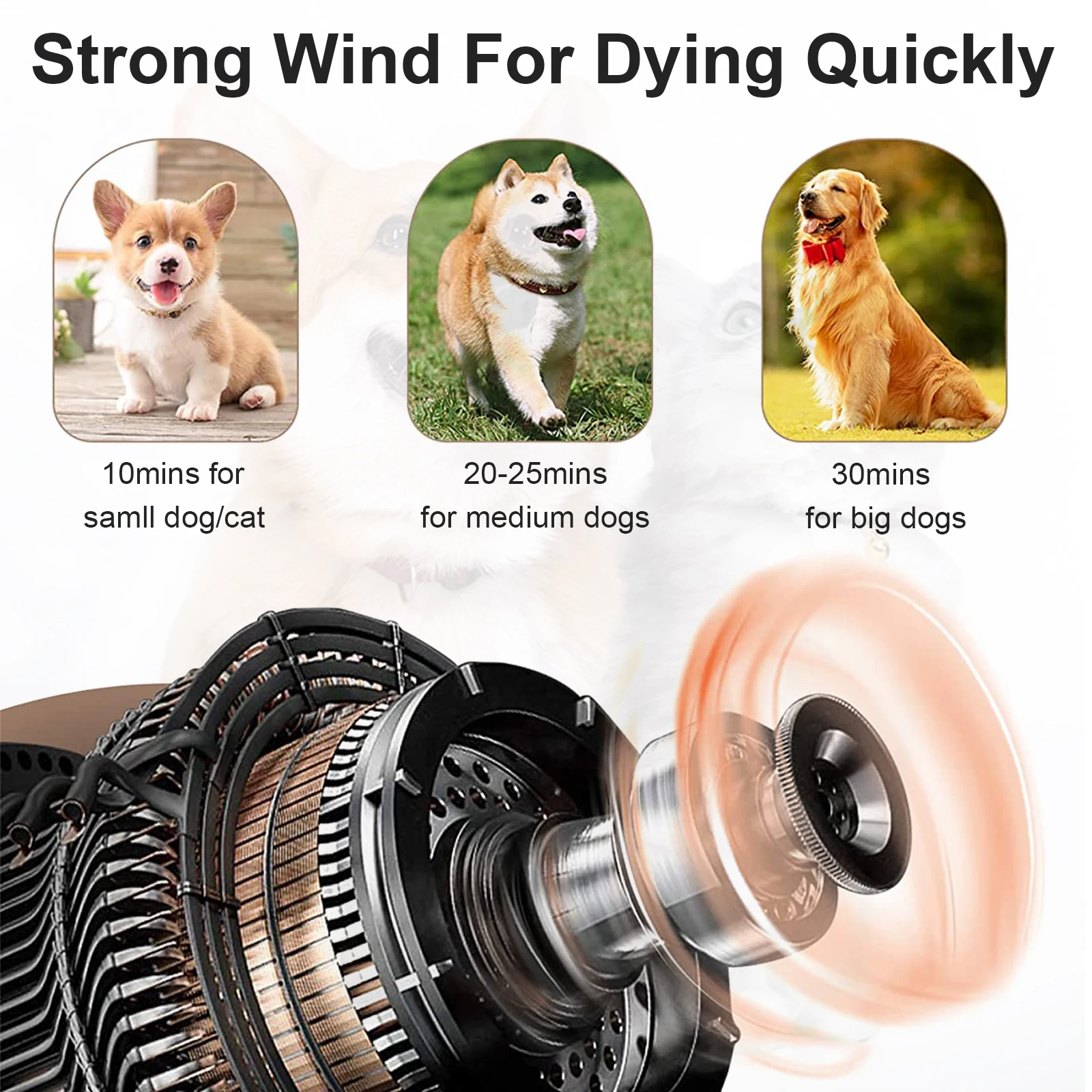 Dog Hair Dryer Professional 2800W Low Noise with 3 Nozzles & Extendable Hose Animal Fur Heater Hairdryer Grooming Blaster