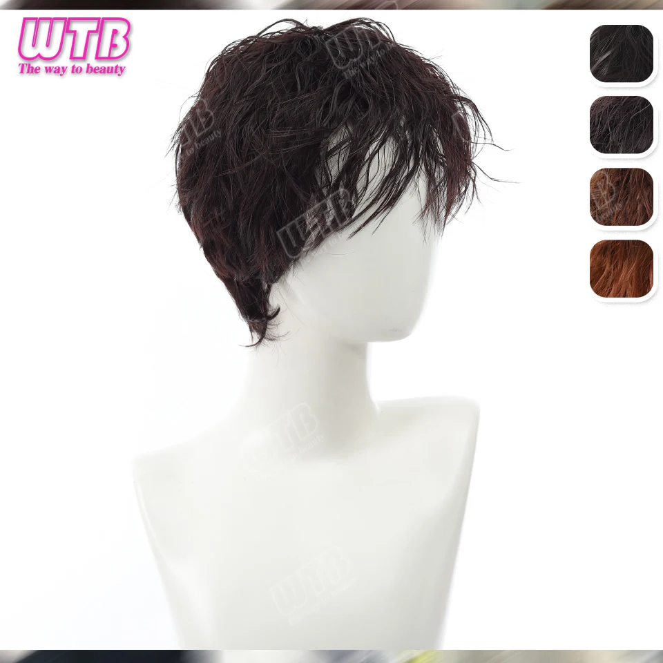 Short Synthetic Wig Unisex Multi-Color Short Curly Wig Adds Hair Volume Changes Hairstyle Suitable for Daily Wear and Holidays