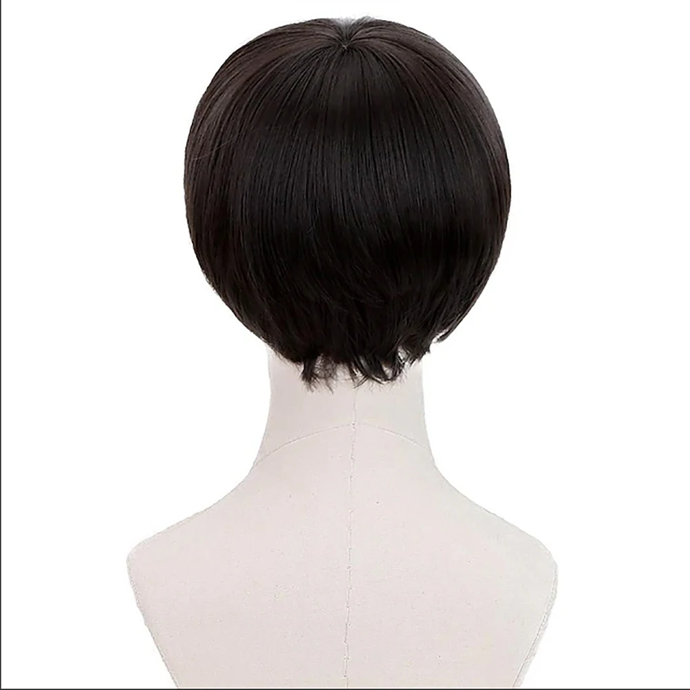 HAIRJOY Synthetic Hair Short Mushroom Wig for Men 60s Bowl Cut Wigs for Anime Movie Music Costume Halloween Cosplay Party