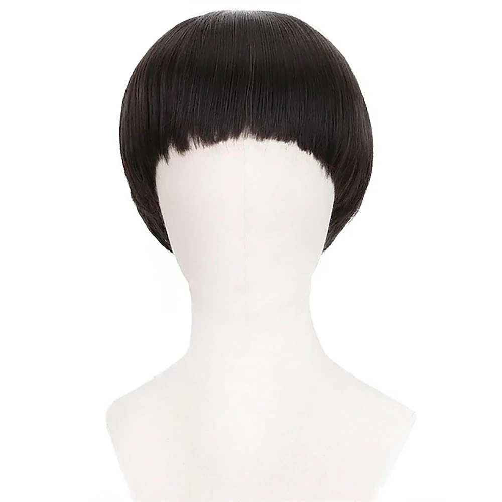 HAIRJOY Synthetic Hair Short Mushroom Wig for Men 60s Bowl Cut Wigs for Anime Movie Music Costume Halloween Cosplay Party