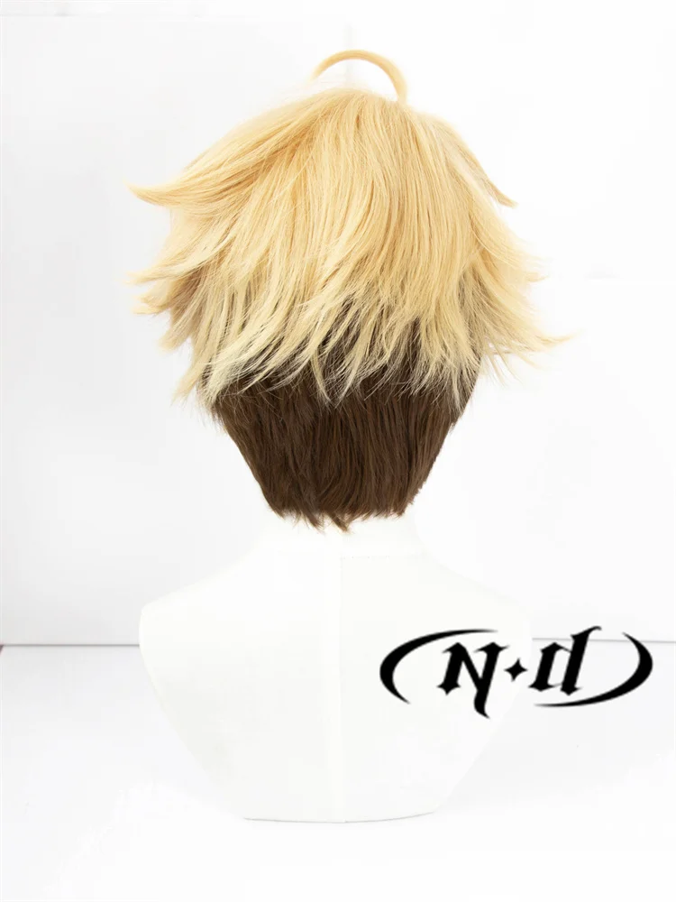 ND Arashi Narukami Cosplay Wigs Hairpiece The Ensemble Stars Cosplay Hair Wigs for Comic Con Coser Costume Party Heat Resistant