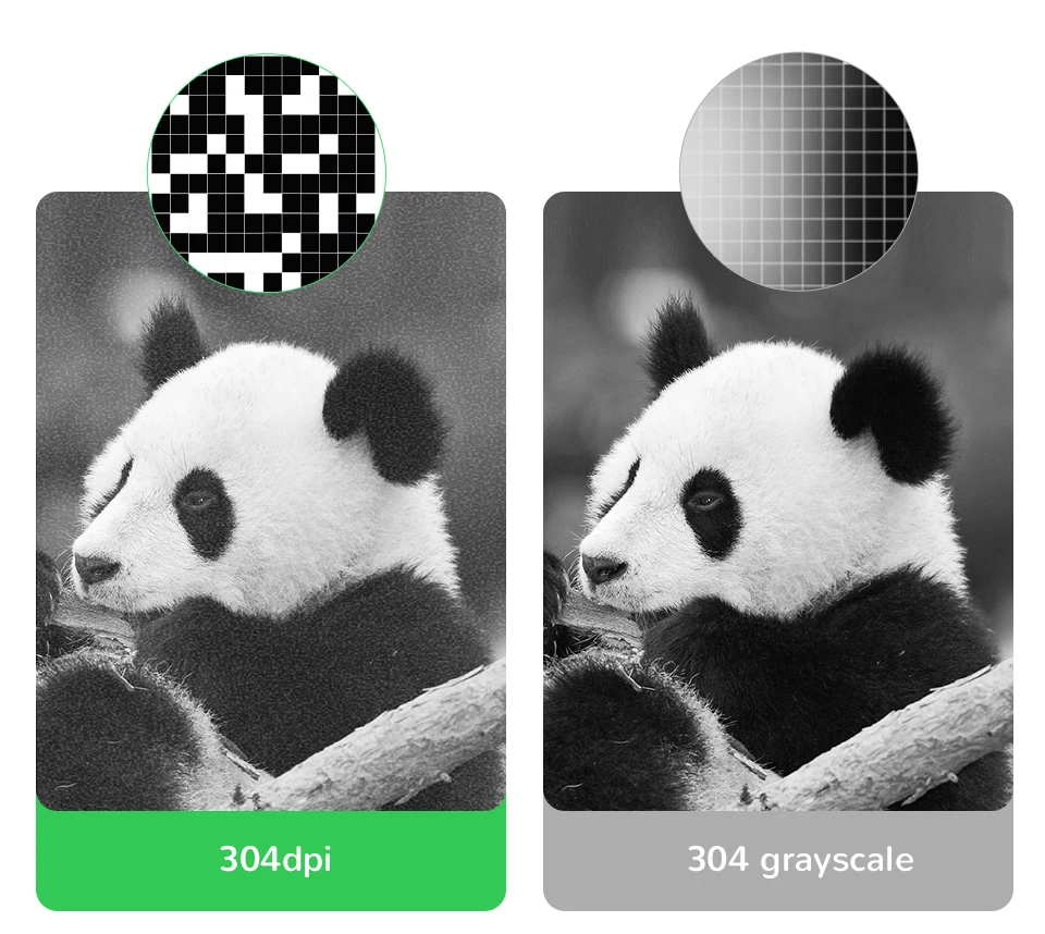 PeriPage 56x30 77x30mm Thermal Paper Label Paper Sticker for Thermal Pocket Mini Wireless Printer A9 Translucent Color Paper