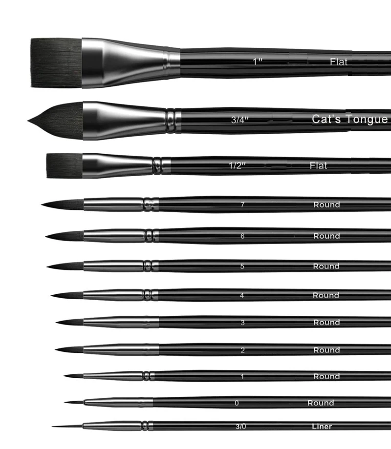 12PCS Professional Watercolor Paint Brushes Set Artist Synthetic Fine Squirrel Brush Round Tip for Detail, Gouache, Acrylic, Oil