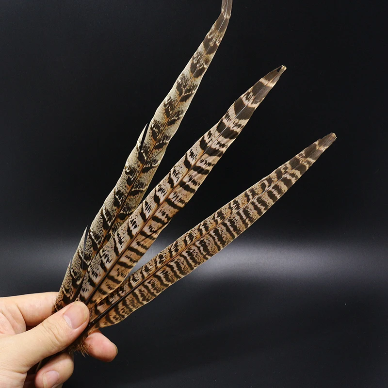 Royal Sissi Selected 6pcs Hen Pheasant Tail Feather March Brown Length 25-35cm Fly Tying Feathers Trout Fly Wing Tying Materials