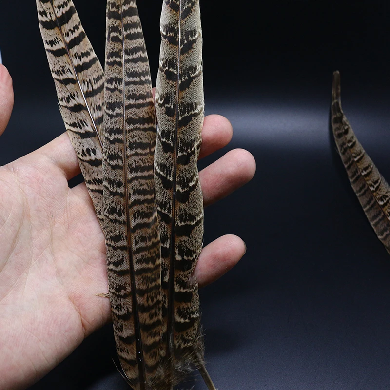 Royal Sissi Selected 6pcs Hen Pheasant Tail Feather March Brown Length 25-35cm Fly Tying Feathers Trout Fly Wing Tying Materials