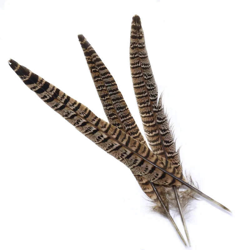 Royal Sissi Selected 6pcs Hen Pheasant Tail Feather March Brown Length 25-35cm Fly Tying Feathers Trout Fly Wing Tying Materials