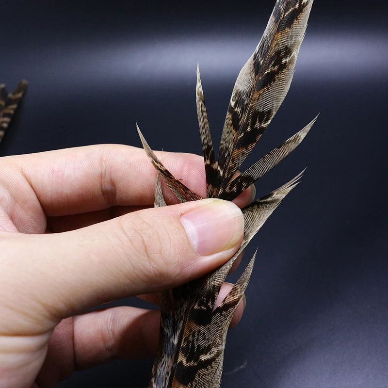 Royal Sissi Selected 6pcs Hen Pheasant Tail Feather March Brown Length 25-35cm Fly Tying Feathers Trout Fly Wing Tying Materials