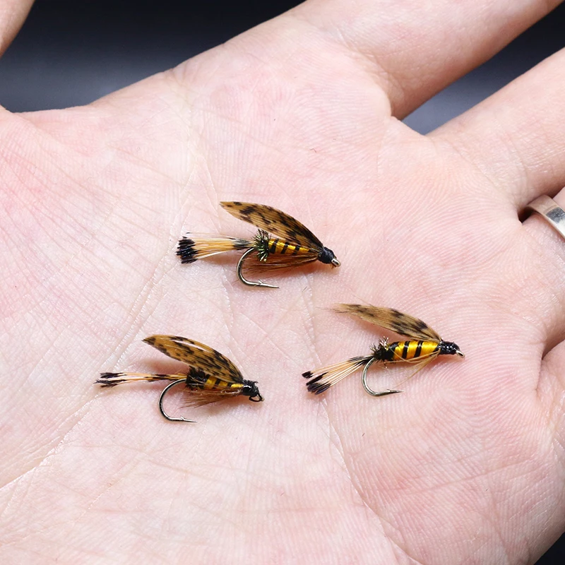Royal Sissi Selected 6pcs Hen Pheasant Tail Feather March Brown Length 25-35cm Fly Tying Feathers Trout Fly Wing Tying Materials