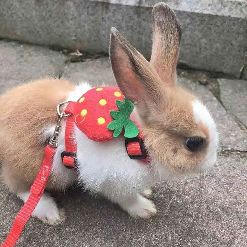 Cartoon Rabbit Harness and Leash Set Walking Adjustable Pet Harnesses for Small Animals Bunny Guinea Pig Mascotas Accessories