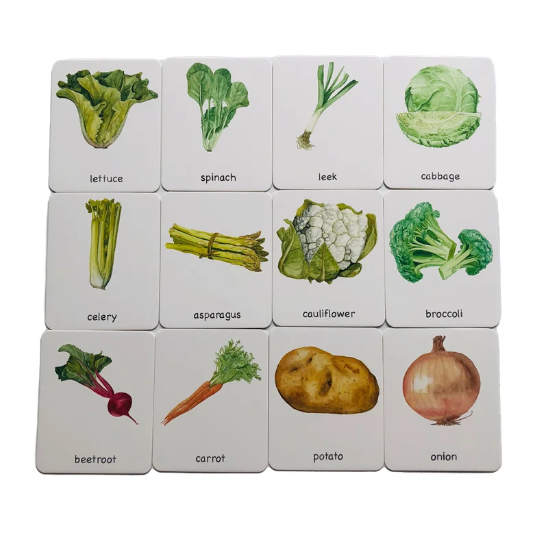 Montessori Language Materials 3 Part Cards of Fruit/ Vegetable/ Tools/ Instrument/ Farm/ Transportation Kids Learning Resources