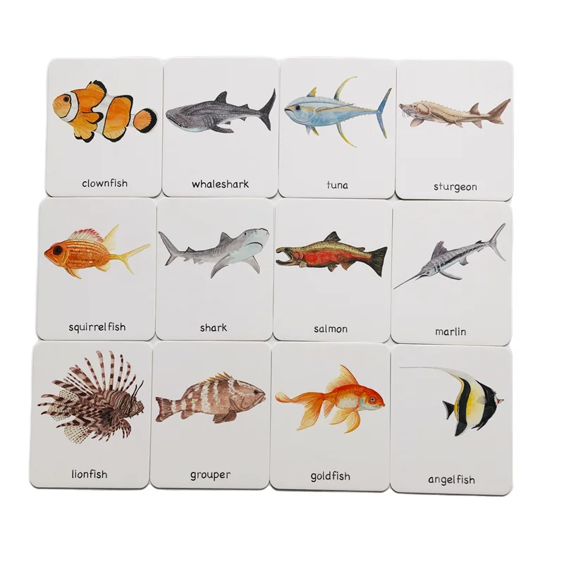 Montessori Language Materials 3 Part Cards of Fruit/ Vegetable/ Tools/ Instrument/ Farm/ Transportation Kids Learning Resources