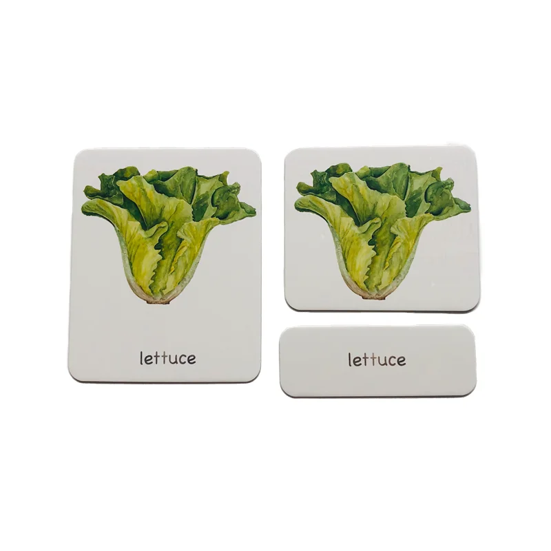 Montessori Language Materials 3 Part Cards of Fruit/ Vegetable/ Tools/ Instrument/ Farm/ Transportation Kids Learning Resources