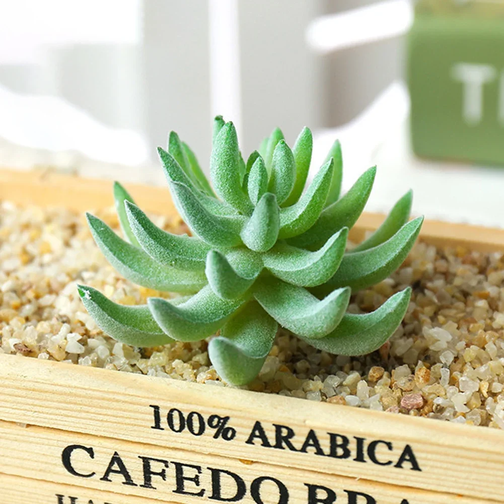DIY Artificial Succulent Flocked Plant Fake Cactus Home Gardens Bedroom Office Outside Decor Fake Plant Desktop Small Bonsai New