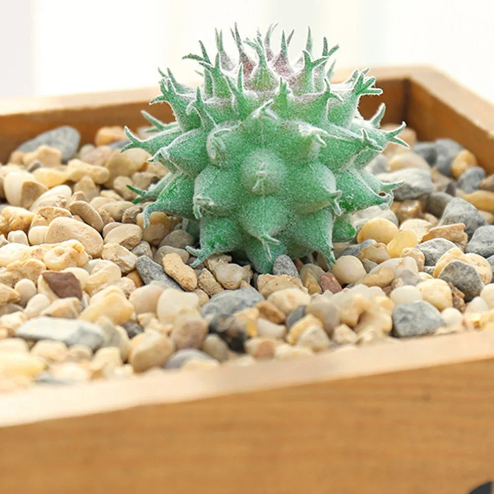 DIY Artificial Succulent Flocked Plant Fake Cactus Home Gardens Bedroom Office Outside Decor Fake Plant Desktop Small Bonsai New