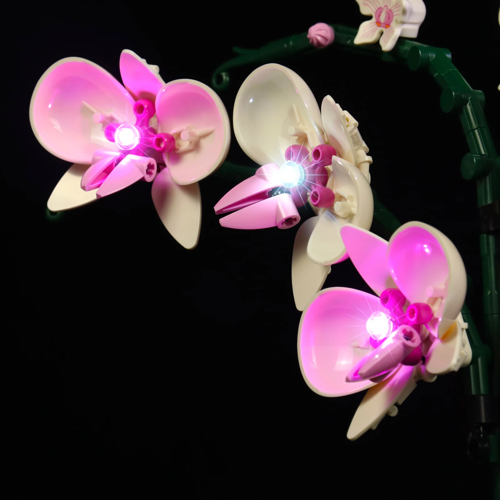 Lazishi LED Light For 10311 Orchid Lighting DIY Toys (Not Include the Model)