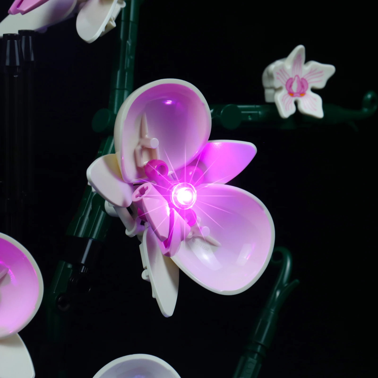 Lazishi LED Light For 10311 Orchid Lighting DIY Toys (Not Include the Model)