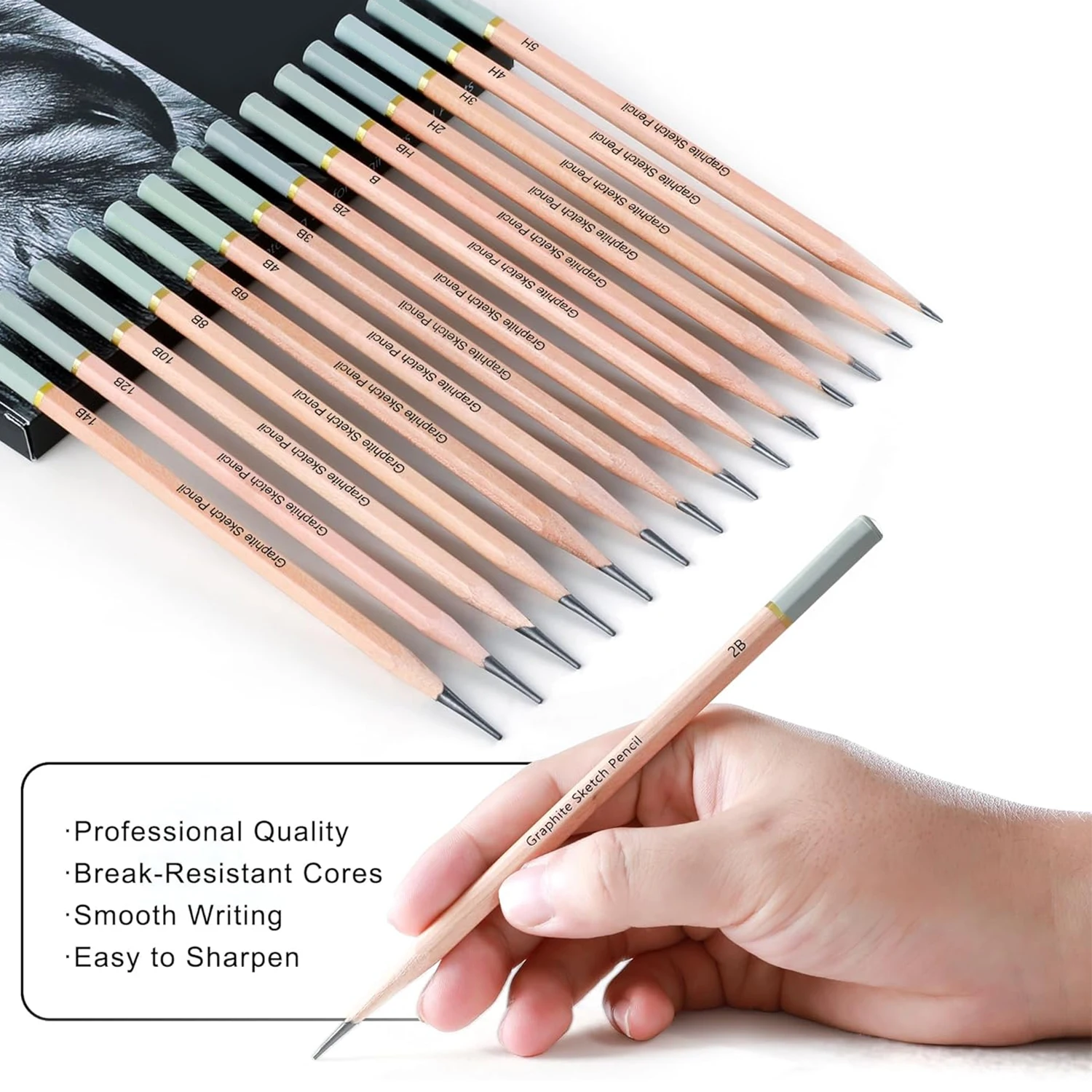 Professional Drawing Sketching Pencil Set,5H-14B Graphite Pencils for Pro Artists,Drawing,Drafting,Sketching,Shading(14 pcs)