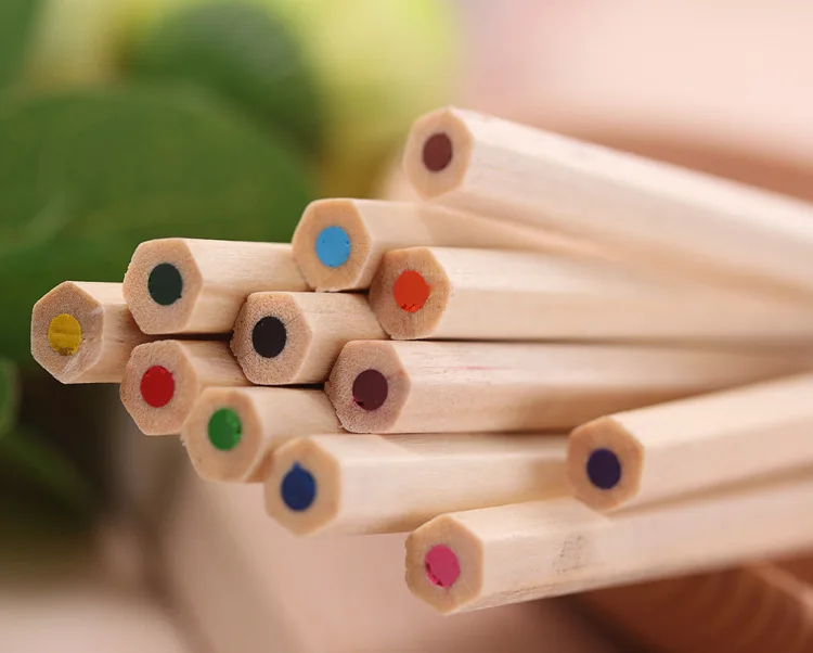 Professional New Set 12 Color Natural Wood Color Pencil Color High Quality Student Drawing Pencil School Office Supplies