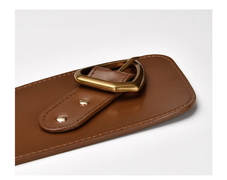 Hot Sale Women Genuine Leather Waistbands Waist Seal Fashion Metal Pin Buckles Belts Strap Personality Female Wide Soft Belt