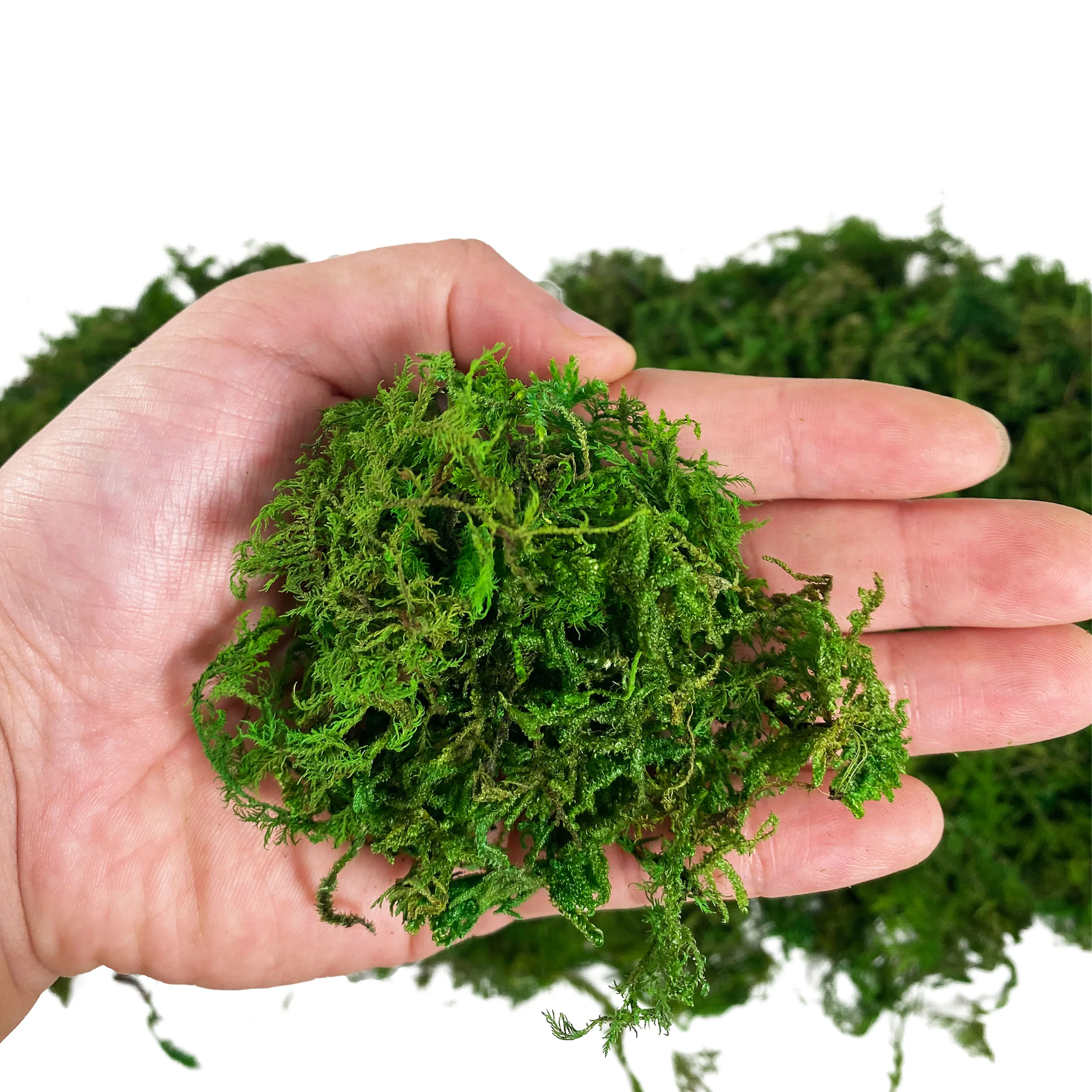 Artificial Fake Moss, Craft Moss for Potted Plant Centerpieces Decor
