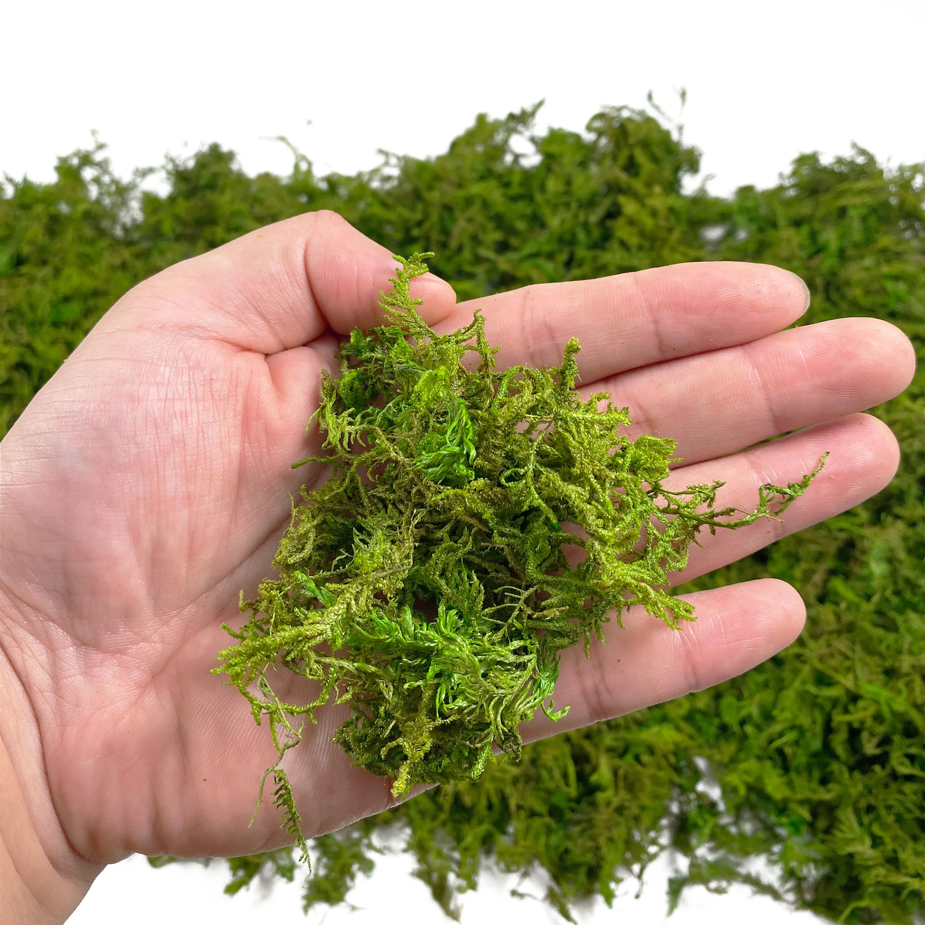 Artificial Fake Moss, Craft Moss for Potted Plant Centerpieces Decor