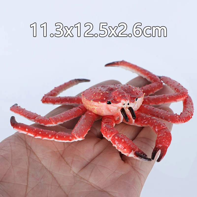 Simulation Marine Sea Life Lobster Crab Figurines Shark Action Figures Ocean Animals Model Dolphin Educational Toys for Children