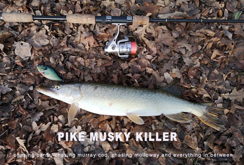 ALASICKA 70/100MM 14.5/45G For Pike Musky Fishing Slow Sinking Jerkbait Fishing Lure Slider Swim Action Hard Body Jerk Bait