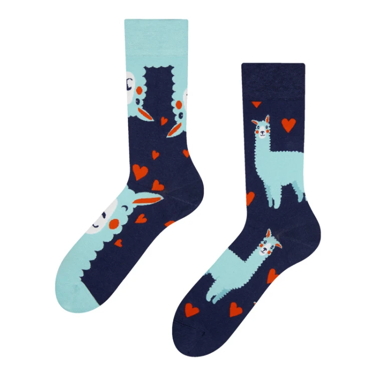 Cross Border New Spring/Summer Personalized Cartoon AB Fashion Socks Creative Cartoon Couple Cotton Socks