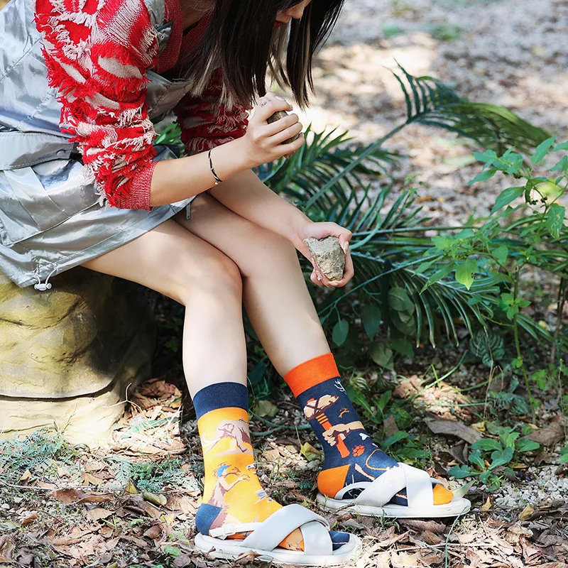 New Asymmetric Couple AB Mandarin Duck Fashion Cartoon Cute Funny Sports Colorful Mid tube Cotton Socks