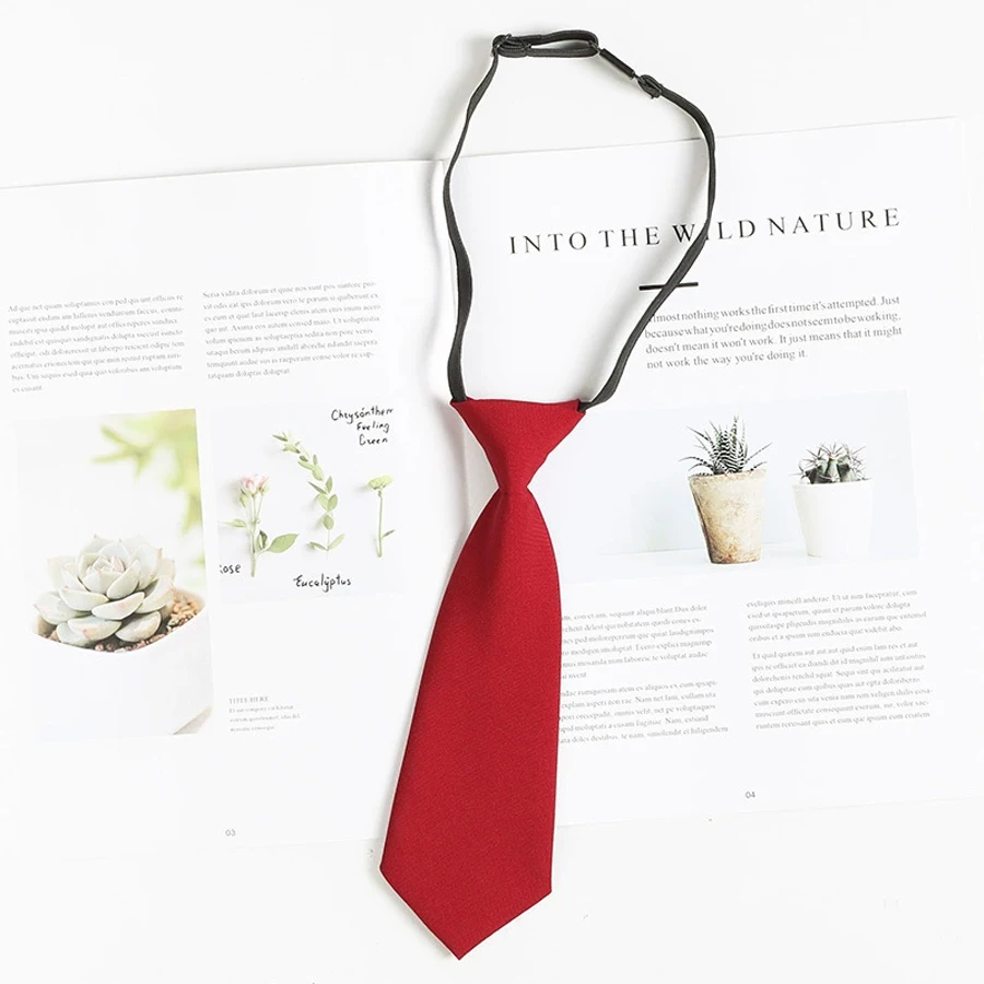 Boys Tie, Toddler Black/Red Tie, Pre-tie Clip on Ties for Boys