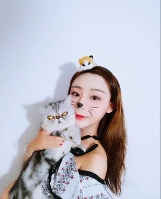 Hair Band Wool Felt Plush Toys Cute Hair Accessories Animal Simulation Crafts Cute Cat Headband Ladies Hair Accessories Party