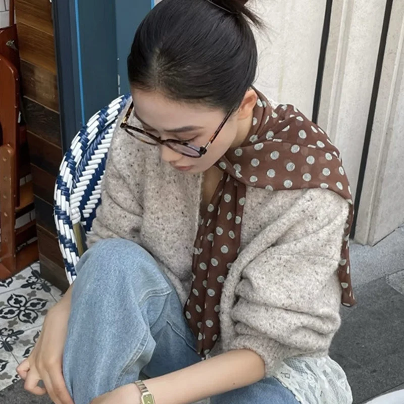 2026 New Ins Style Brown Chiffon Polka Dot Long Silk Scarf Multifunctional Accessory Neck Women's Headband Tie Hair Towel