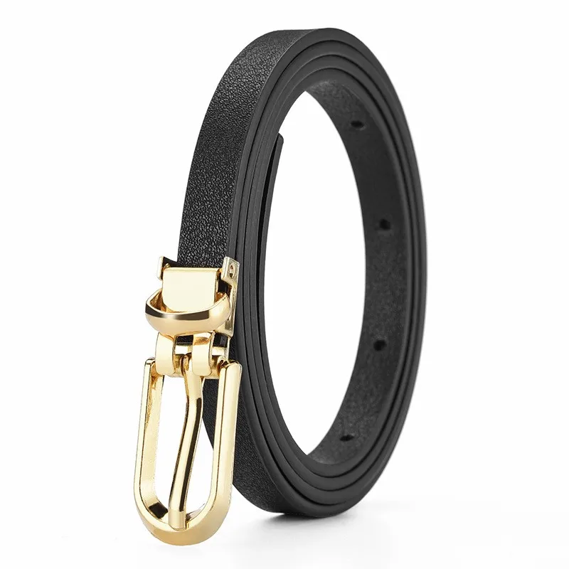 Women's small belt dress Korean version fashionable versatile multi-color simple casual trend needle buckle black thin belt
