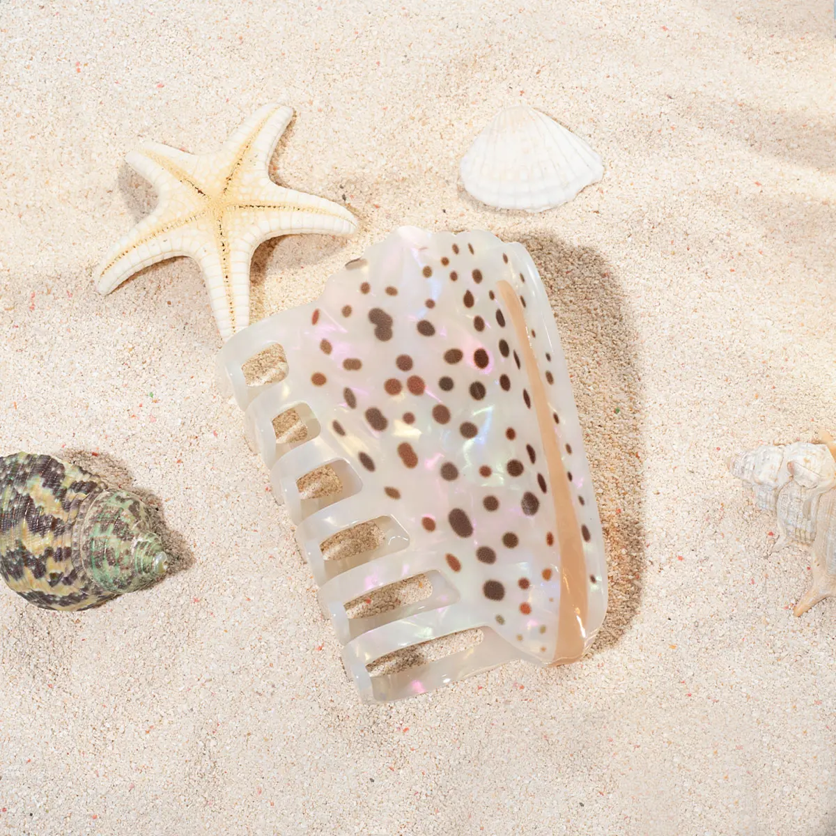 1 piece personalised Hebrew Cone Shell and a Textile Cone shell hair claw for Hawaii sumer holiday
