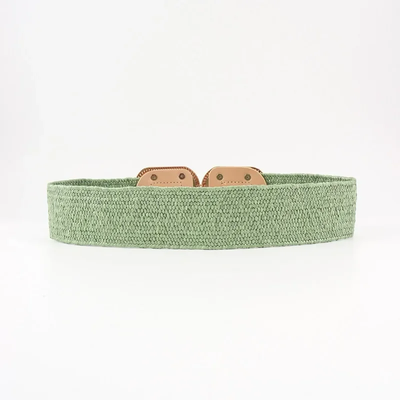 Fashion Stretch Alloy Buckle PP Grass Braided Belt All-match Elastic Waist Seal Multicolor Decorative Dress Belt for Women