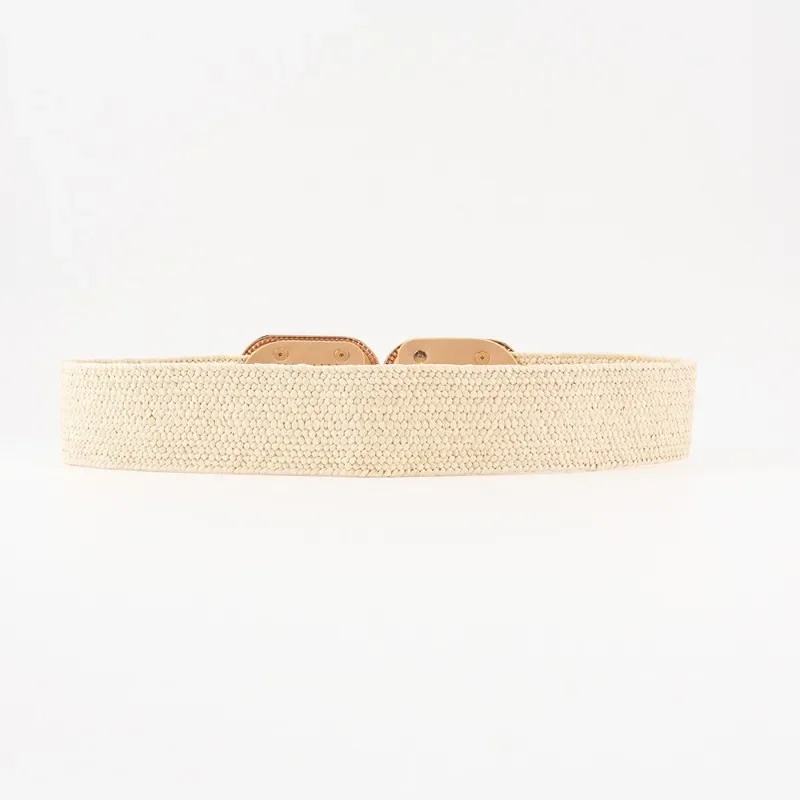 Fashion Stretch Alloy Buckle PP Grass Braided Belt All-match Elastic Waist Seal Multicolor Decorative Dress Belt for Women