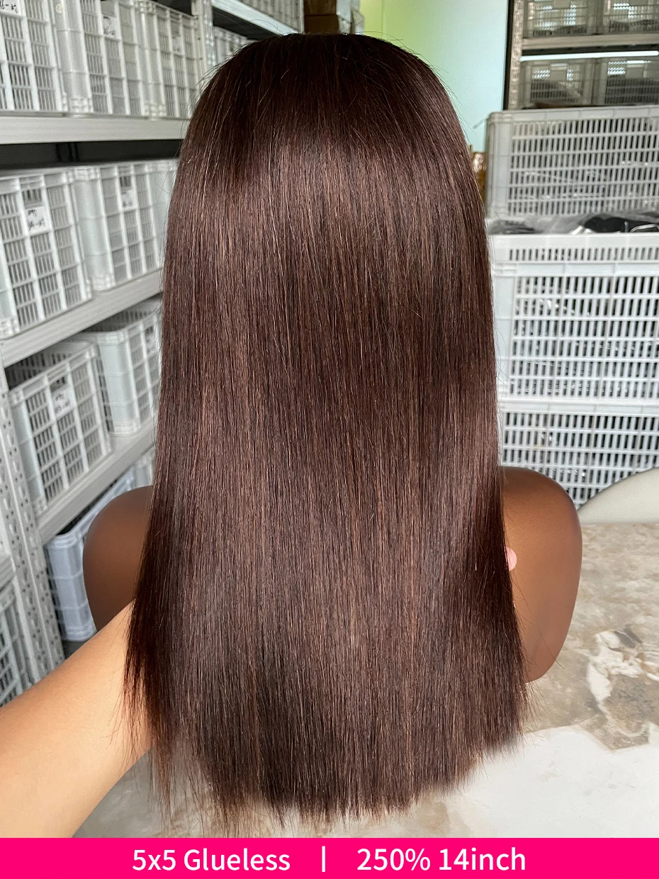 Vietnamese Glueless Wigs 100%human Hair Quality 5x5 Lace Closure Ready to Wear Wig 250 Density 13x6 13x4 Lace Frontal Bob Wig #2