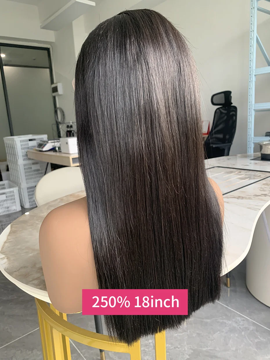 2x6 5x5 Glueless Wig Human Hair Ready to Wear and Go Lace Closure Wigs Vietnamese Bone Straight 250% 300% 13x6 Lace Front Wigs