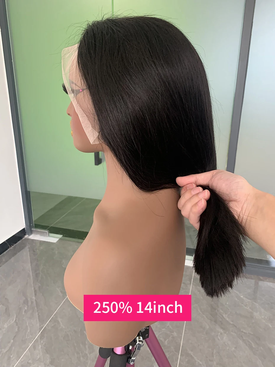 2x6 5x5 Glueless Wig Human Hair Ready to Wear and Go Lace Closure Wigs Vietnamese Bone Straight 250% 300% 13x6 Lace Front Wigs