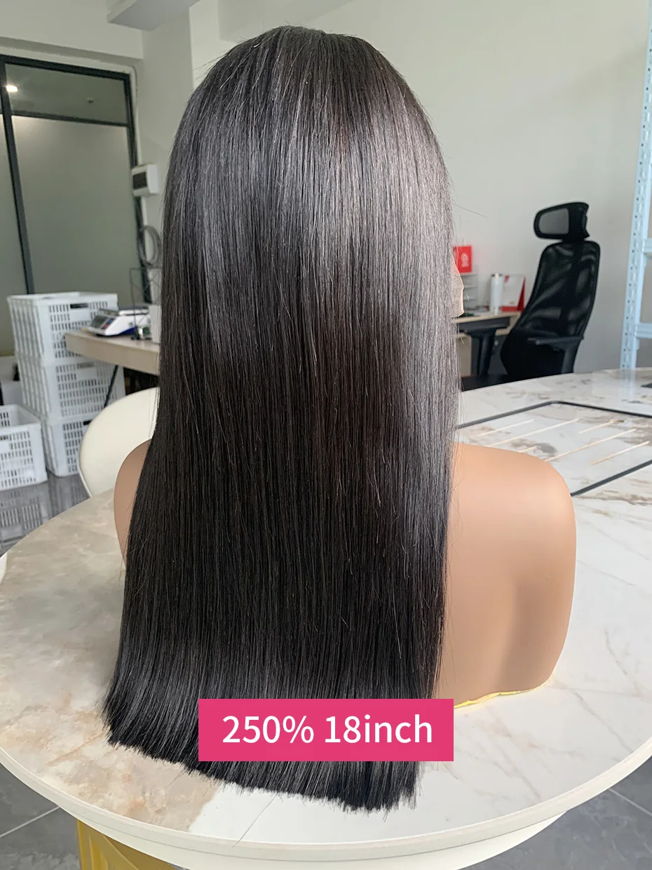 2x6 5x5 Glueless Wig Human Hair Ready to Wear and Go Lace Closure Wigs Vietnamese Bone Straight 250% 300% 13x6 Lace Front Wigs