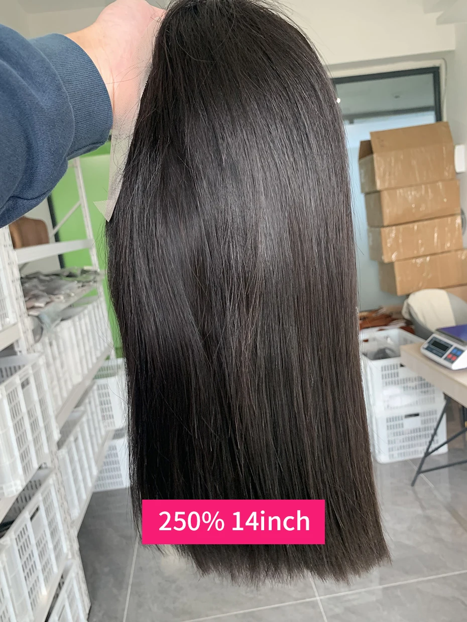 2x6 5x5 Glueless Wig Human Hair Ready to Wear and Go Lace Closure Wigs Vietnamese Bone Straight 250% 300% 13x6 Lace Front Wigs