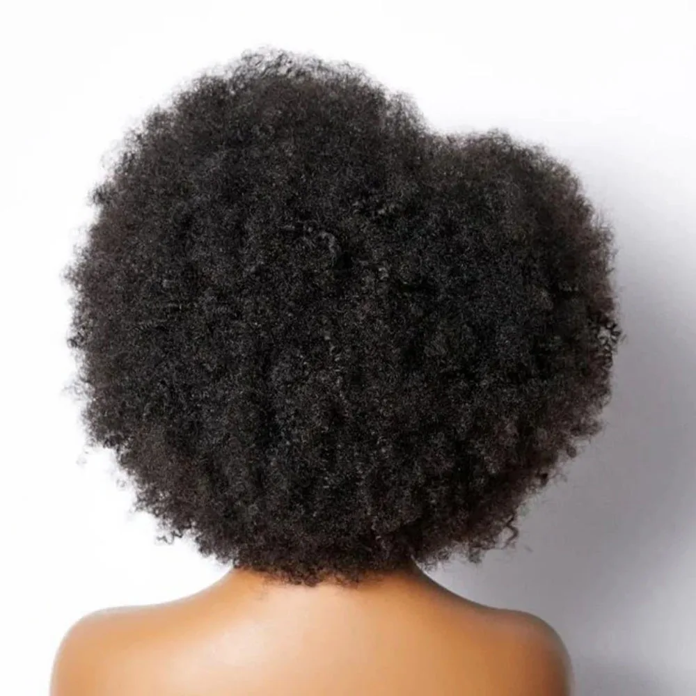 250% Density Afro Wigs for Black Women Kinky Curly Lace Front Wig Afro Short Bob Human Hair Wig 13x4x2 Lace Natural Hairline