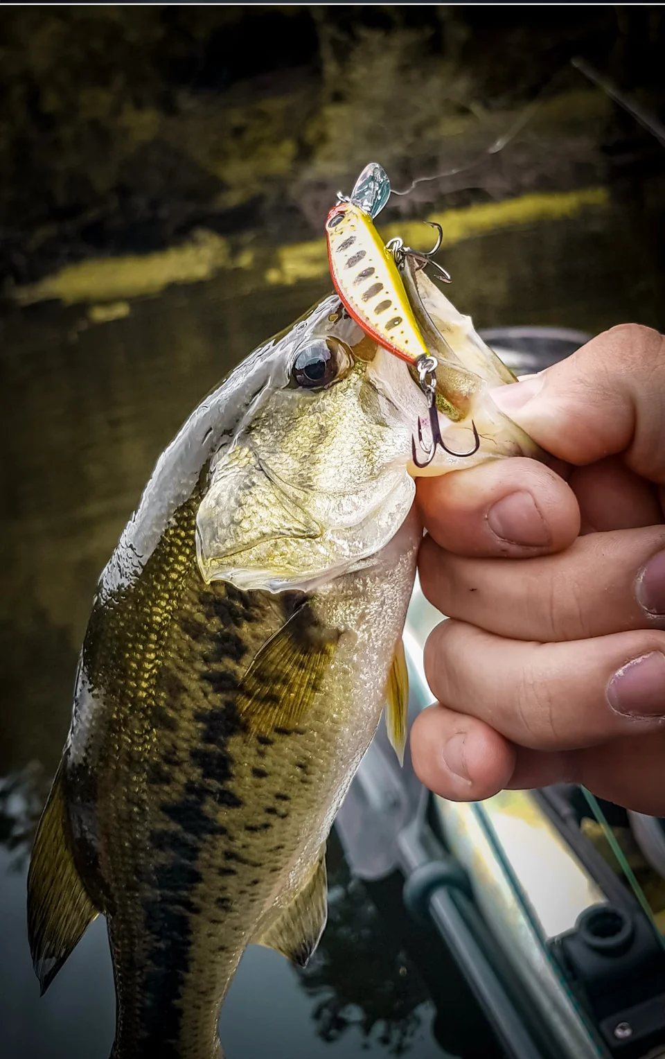 TSURINOYA Intruder 51S Sinking Minnow Stream Fishing Lure 51mm 5.8g Artificial Hard Bait For Trout Ajing Jerkbait River Baits