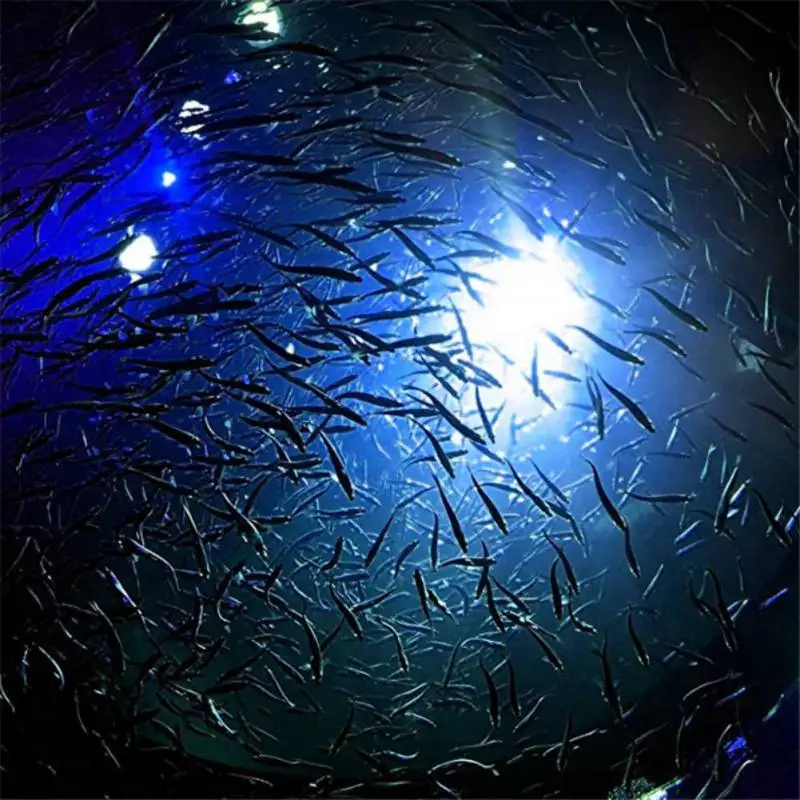 Mini Fishing Attraction Lamp Glowing Lure LED Flashing Fishing Light Squid Bait Fishing Tools
