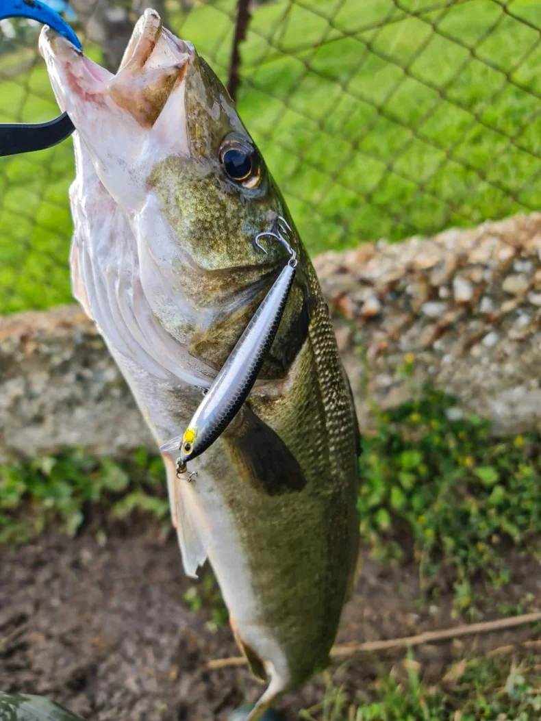 KINGDOM SP Shadow Fishing Lures 6.5g 9g 14g 14.2g Suspending Minnow Wobbler Crank Baits Artificial Sea Bass Pike Fishing Tackle