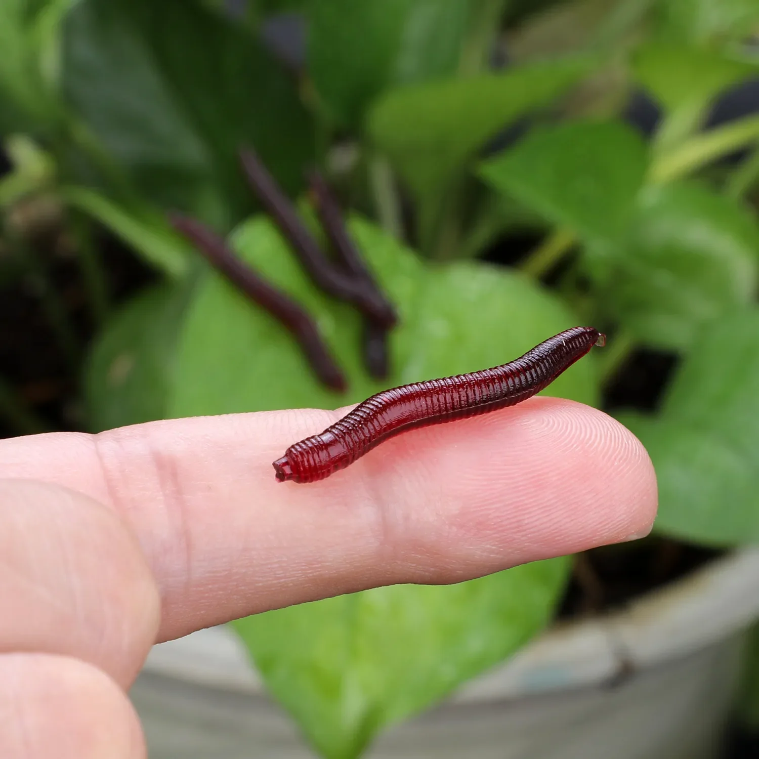Sougayilang Fishing Lures Lifelike Fishy Smell Red Soft Lures Simulation Luminous Worms Artificial Fishing Lure Fishing Tackle
