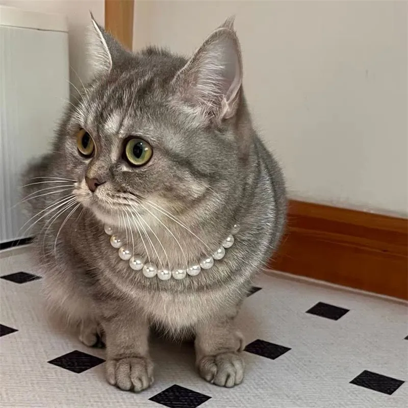 Colorful Pearl Dog Necklace Collar Fashion Jeweled Puppy Cat Collar Candy Color Dog Choker Pet Accessories Supplies